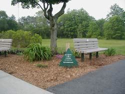 Benches in park