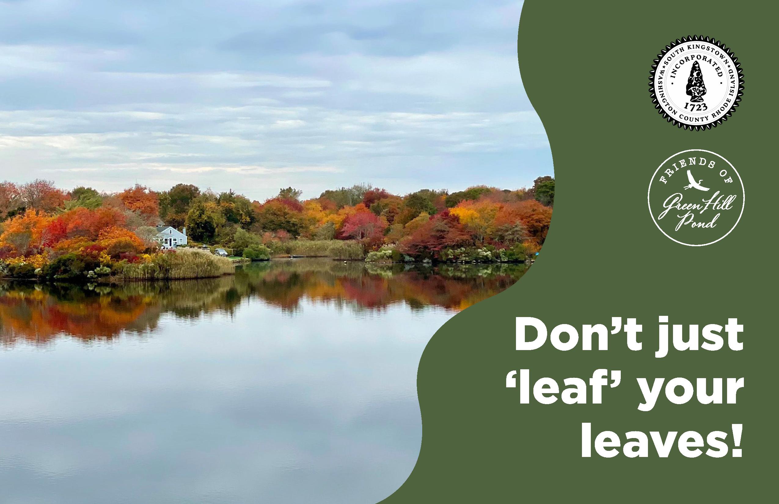 Green-Hill-Pond-Notecard_5.5x8.5_Leaf-Litter_1